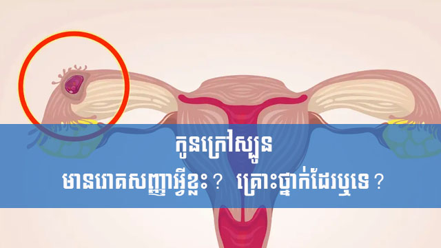 កូនក្រៅស្បូន មានរោគសញ្ញាអ្វីខ្លះ? គ្រោះថ្នាក់ដែរឬទេ?