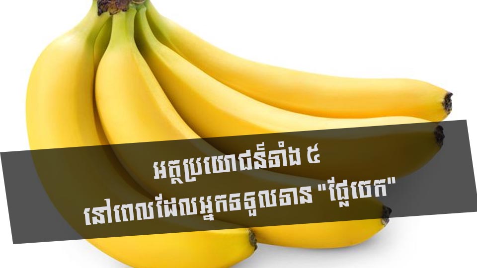 អត្ថប្រយោជន៍ទាំង ៥ នៅពេលដែលអ្នកទទួលទាន “ផ្លែចេក”