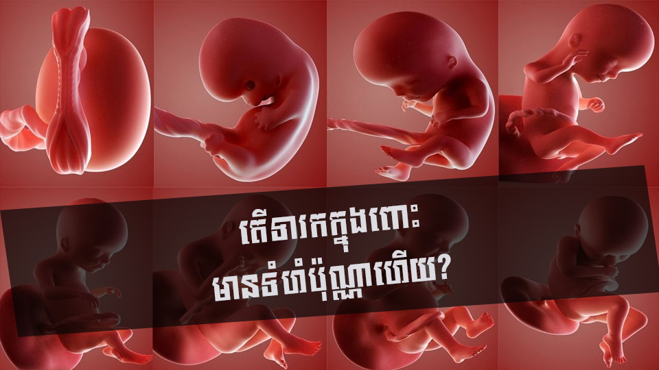 តើទារកក្នុងពោះមានទំហំប៉ុណ្ណាហើយ?
