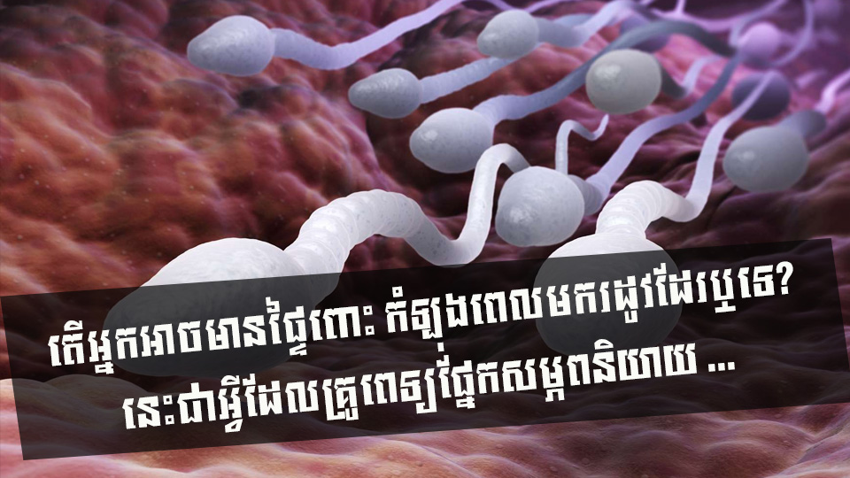 តើអ្នកអាចមានផ្ទៃពោះ កំឡុងពេលមករដូវដែរឬទេ? នេះជាអ្វីដែលគ្រូពេទ្យផ្នែកសម្ភពនិយាយ …