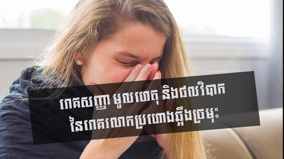 រោគរលាកប្រហោងឆ្អឹងច្រមុះ ៖ រោគសញ្ញា មូលហេតុ និងផលវិបាក