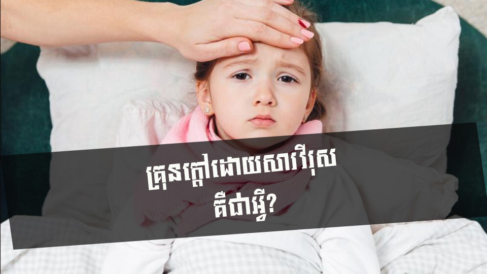 គ្រុនក្តៅដោយសារវីរុស គឺជាអ្វី?