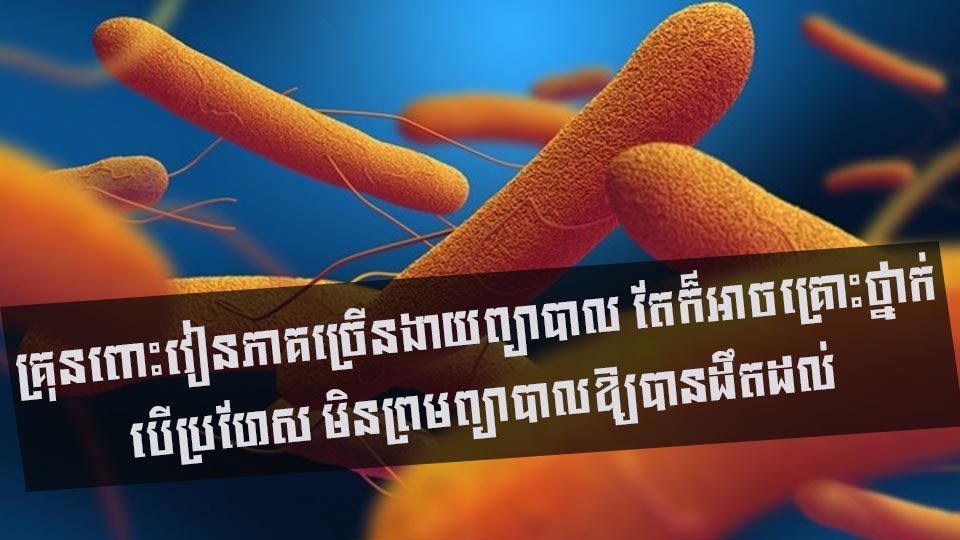 គ្រុនពោះវៀនភាគច្រើនងាយព្យាបាល តែក៏អាចគ្រោះថ្នាក់ បើប្រហែស មិនព្រមព្យាបាលឱ្យបានដឹតដល់