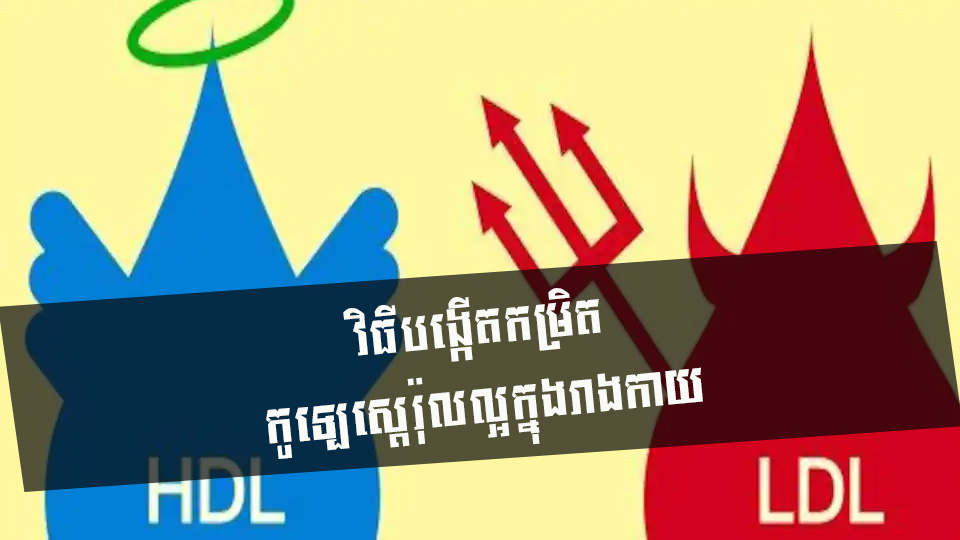 វិធីបង្កើនកម្រិតកូឡេស្តេរ៉ុលល្អក្នុងរាងកាយ