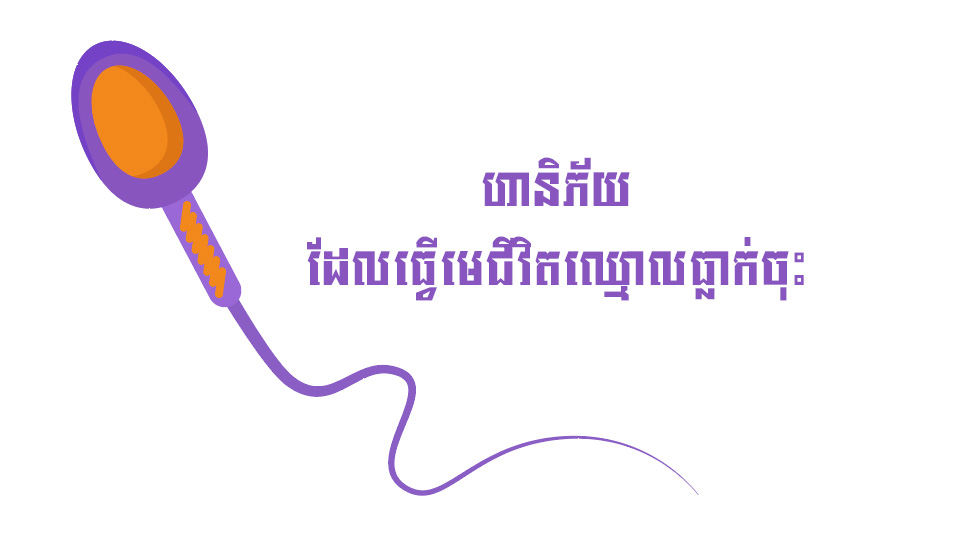ហានិភ័យ ដែលធ្វើមេជីវិតឈ្មោលធ្លាក់ចុះ