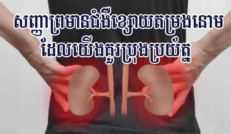 សញ្ញាព្រមានជំងឺខ្សោយតម្រងនោម ដែលយើងគ្រប់គ្នាគប្បីចងចាំ និងប្រុងប្រយ័ត្ន