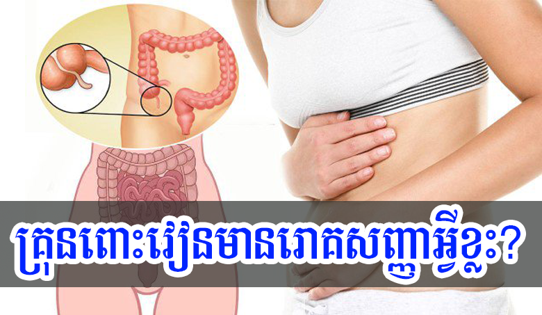 គ្រុនពោះវៀនមានរោគសញ្ញាអ្វីខ្លះ?
