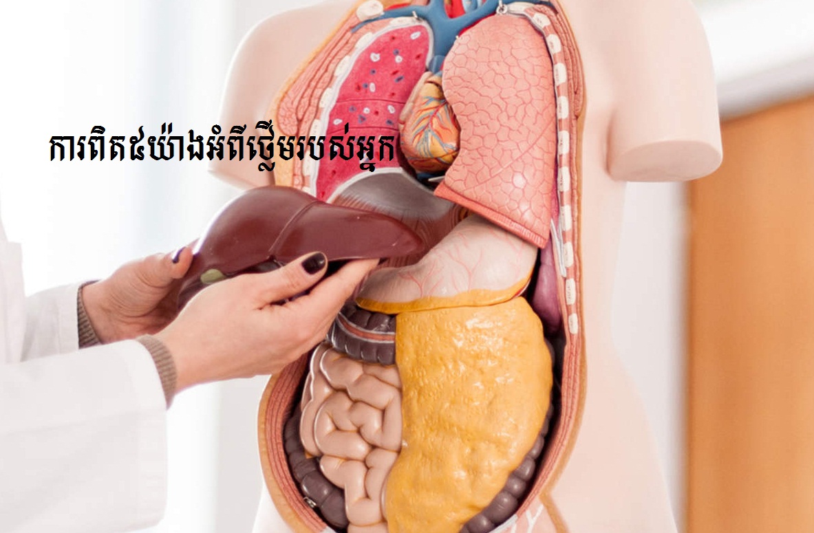 គួរឱ្យភ្ញាក់ផ្អើល! ការពិត៥យ៉ាងអំពីថ្លើមរបស់អ្នក
