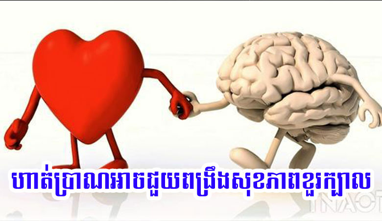 ហាត់ប្រាណអាចជួយពង្រឹងសុខភាពខួរក្បាល