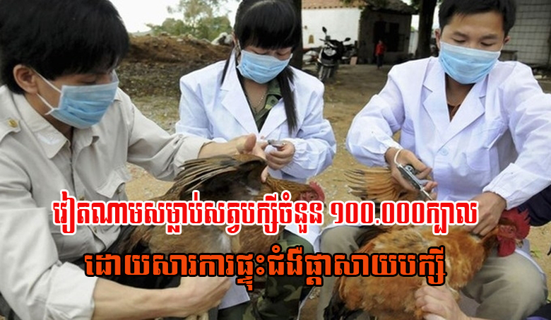 វៀតណាមសម្លាប់សត្វបក្សីចំនួន ១០០.០០០ក្បាល ដោយសារការផ្ទុះជំងឺផ្តាសាយបក្សី