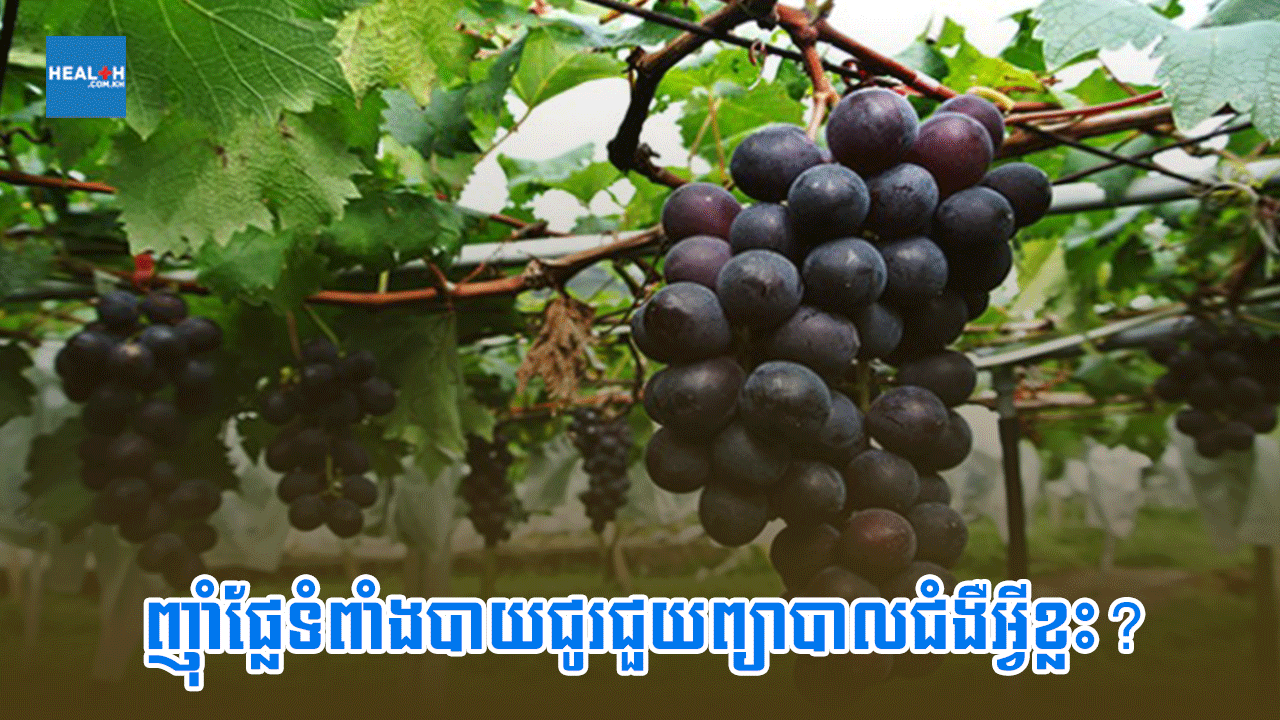 ញ៉ាំផ្លែទំពាំងបាយជូរជួយព្យាបាលជំងឺអ្វីខ្លះ?