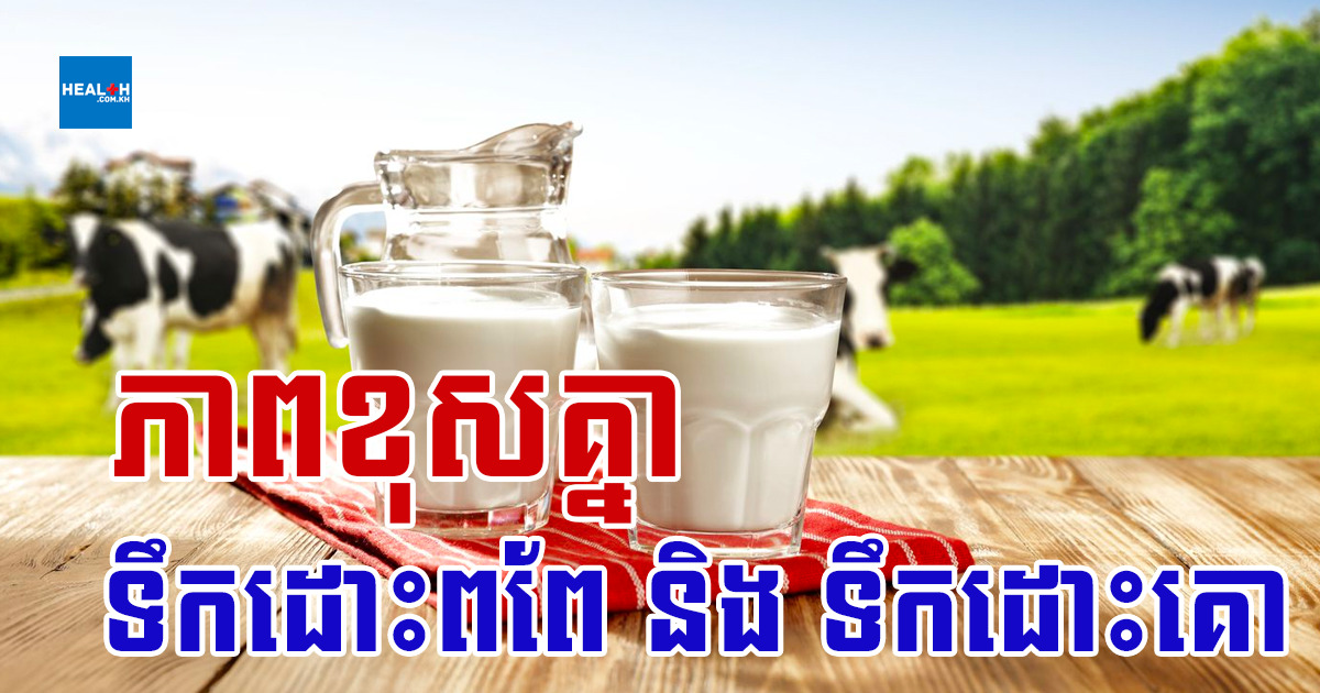 ទឹកដោះពពែ និង ទឹកដោះគោ – តើមានភាពខុសគ្នាអ្វីខ្លះ?