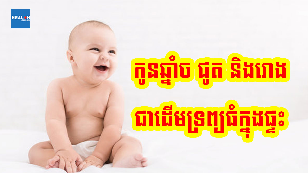 កូនឆ្នាំរោង ជូត និងច ជាដើមលុយធំក្នុងផ្ទះ