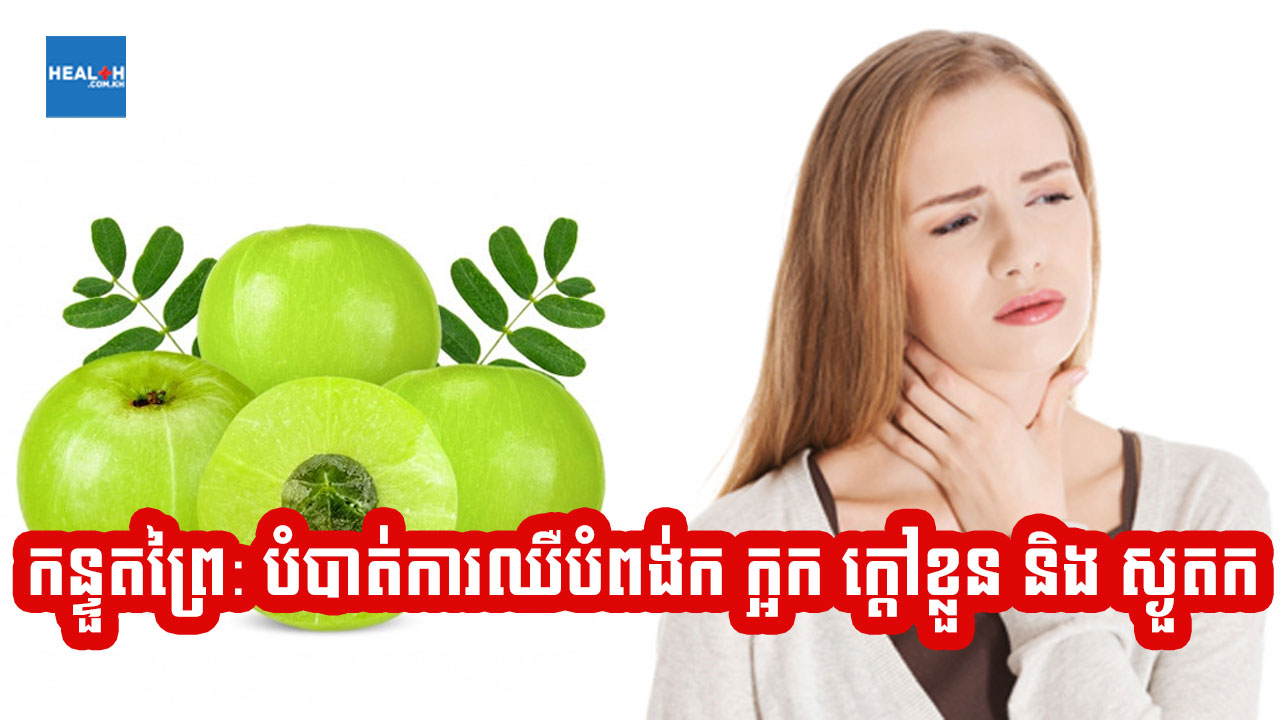 កន្ទួតព្រៃ: បំបាត់ការឈឺបំពង់ក ក្អក ក្តៅខ្លួន និង ស្ងួតក