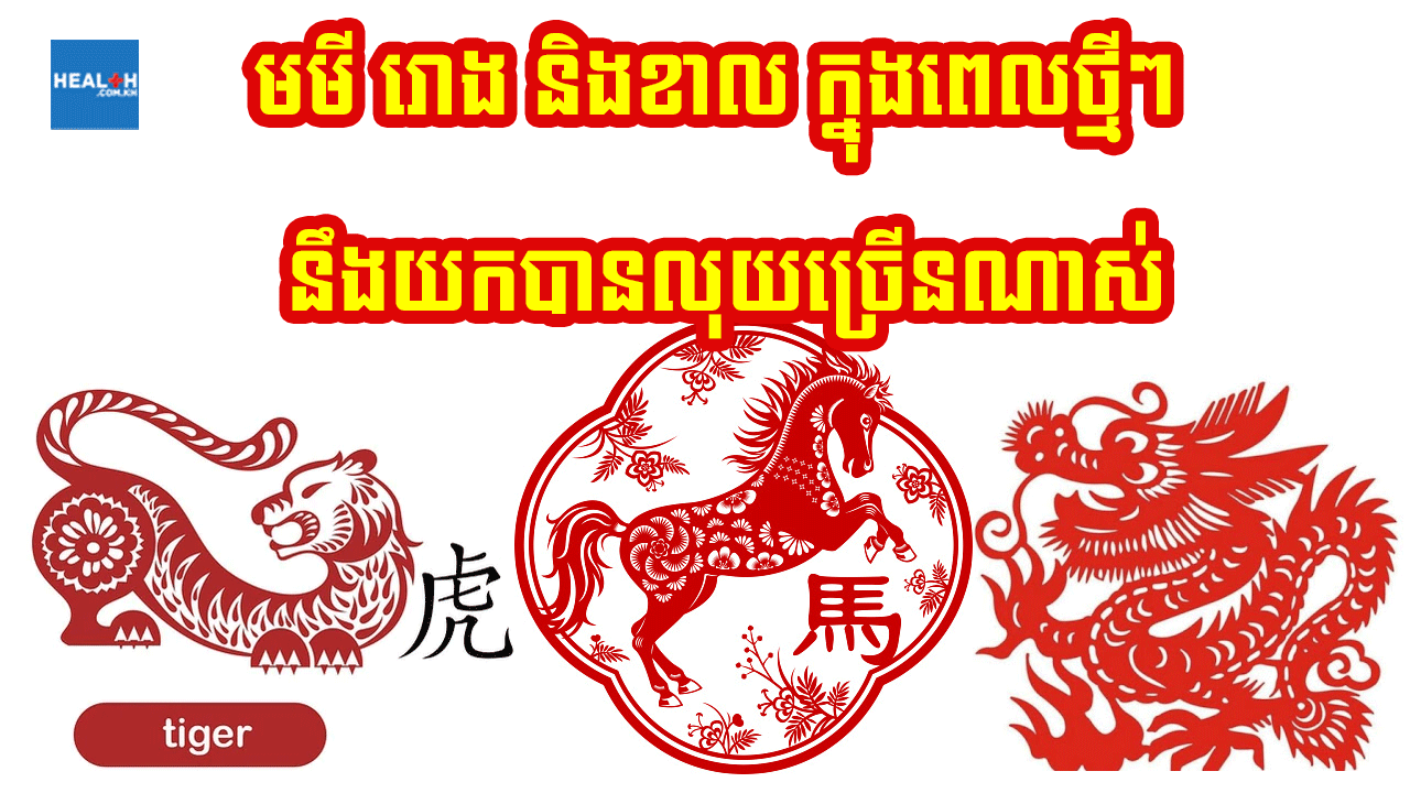 ខាល រោង និងមមី ក្នុងពេលថ្មីៗនេះ នឹងទាញបានលុយច្រើនណាស់