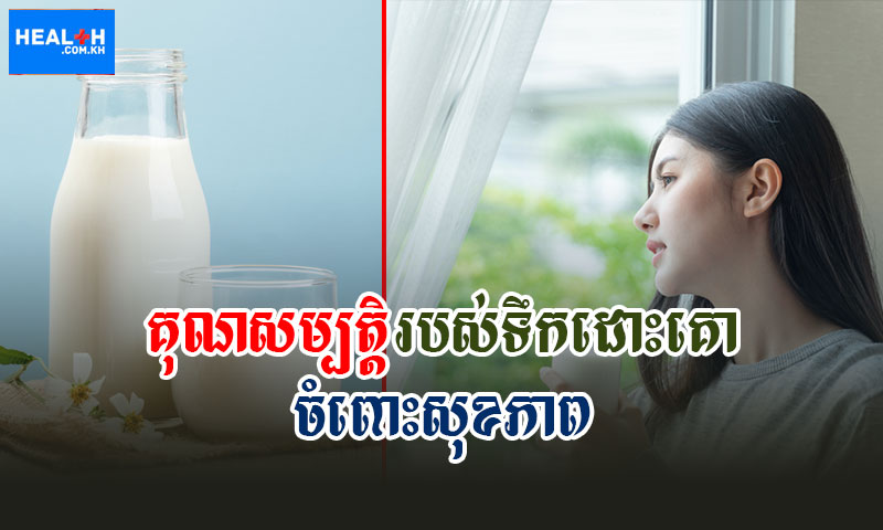 ទឹកដោះគោលើកស្ទួយដល់ថាមពល និង មុខងាររបស់រាងកាយ