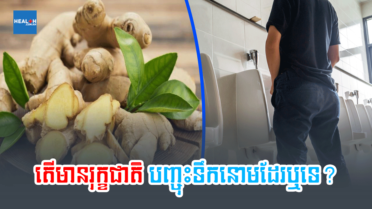 តើមានរុក្ខជាតិបញ្ចុះទឹកនោមដែរឬទេ?