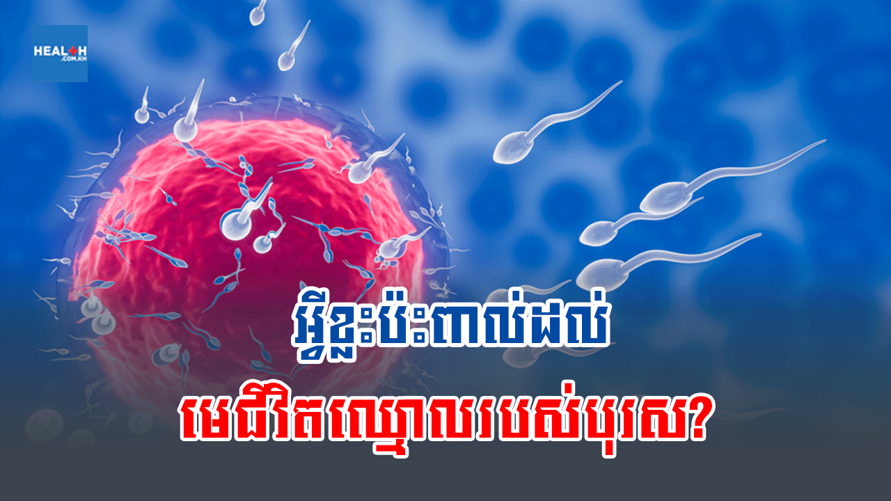 អ្វីខ្លះប៉ះពាល់ដល់មេជីវិតឈ្មោលរបស់បុរស?