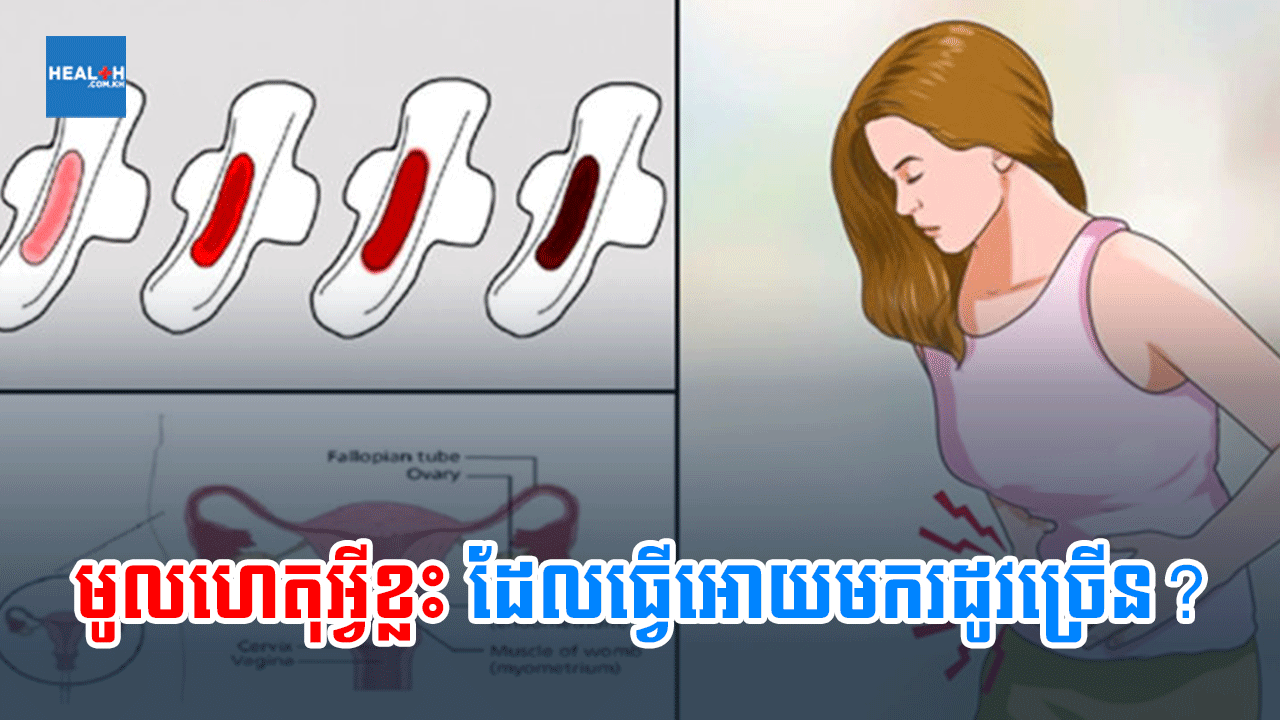 មូលហេតុអ្វីខ្លះដែលធ្វើអោយមករដូវច្រើន?