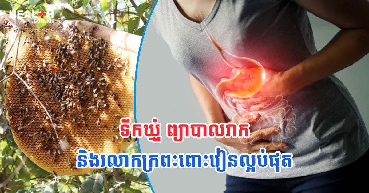 ទឹកឃ្មុំ ព្យាបាលរាក និងរលាកក្រពះពោះវៀនល្អបំផុត