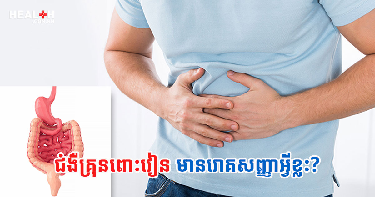 ជំងឺគ្រុនពោះវៀន អាចមានអមដោយរោគសញ្ញាអ្វីខ្លះ?
