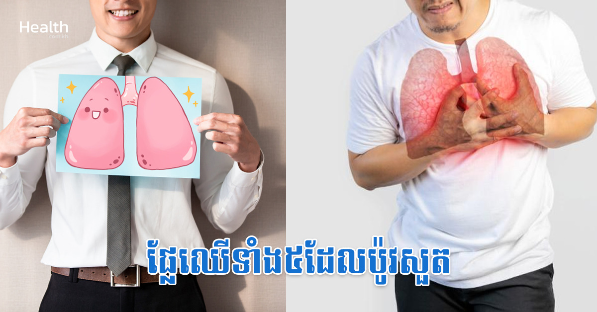 ផ្លែឈើទាំង៥ដែលប៉ូវសួត