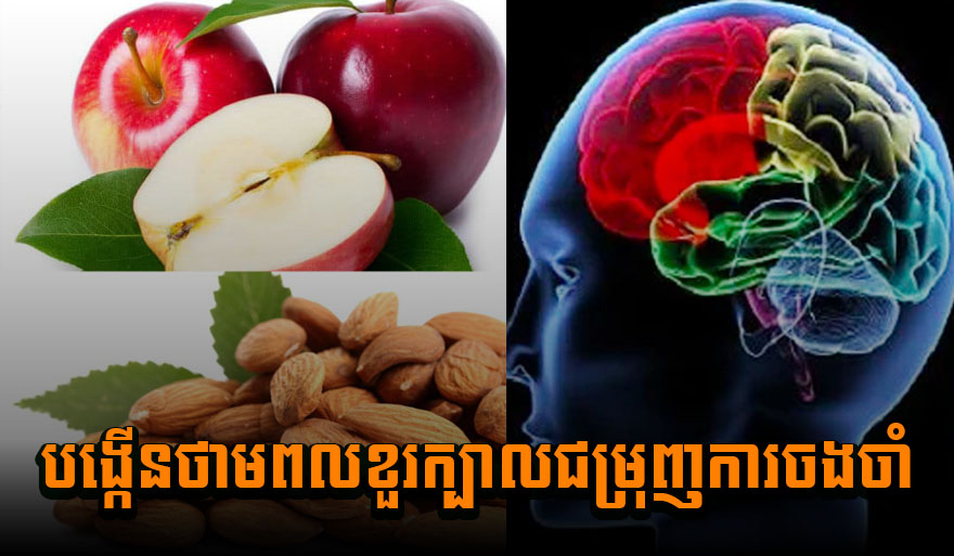 អាហារដែលជួយរក្សាក៏ដូចជាបង្កើនថាមពលខួរក្បាលជម្រុញការចងចាំ