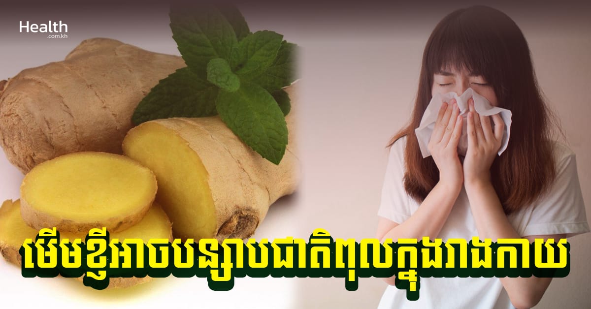 ស្មានមិនដល់ ! មើមខ្ញីអាចបន្សាបជាតិពុលក្នុងរាងកាយ បន្ថយជាតិខ្លាញ់ និងបំបាត់តឹងច្រមុះ