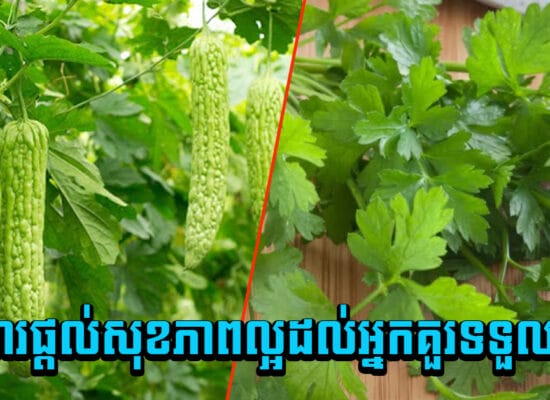 ស្មានមិនដល់ ! អាហារ៥មុខ ដែលមនុស្សជាច្រើនគិតថា «មិនល្អ» តែមានរសជាតិពិសេសដល់សុខភាព