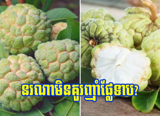 តើអ្នកណាមិនគួរញ៉ាំផ្លែទាប?