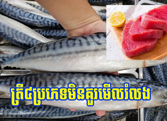 ត្រី៤ប្រភេទដែលល្អខ្លាំងសម្រាប់សុខភាព