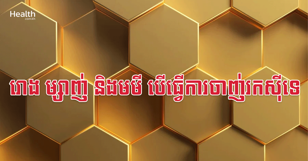 រោង ម្សាញ់ និងមមី បើធ្វើការ ចាញ់រកស៊ីទេ