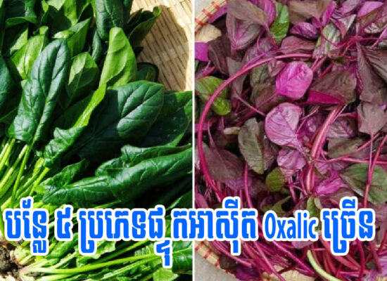បន្លែ ៥ ប្រភេទ មានផ្ទុកអាស៊ីត oxalic ច្រើន