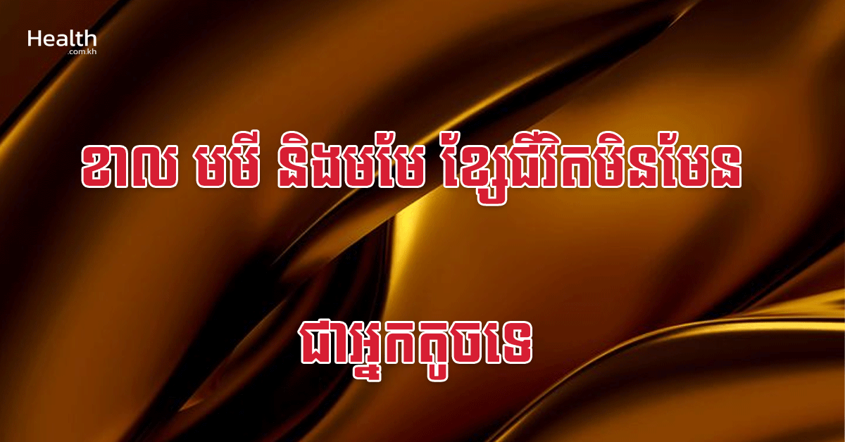ខាល មមី និងមមែ ខ្សែជីវិតមិនមែនជាអ្នកតូចទេ