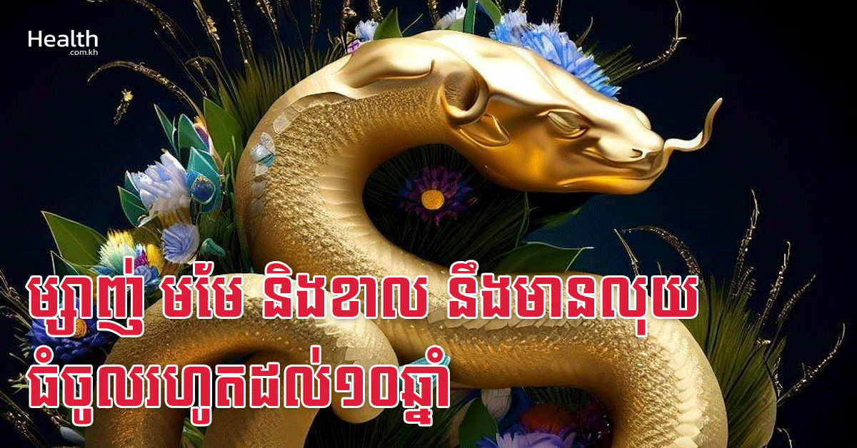 ម្សាញ់ មមែ និងខាល នឹងមានលុយធំចូលរហូតដល់១០ឆ្នាំ