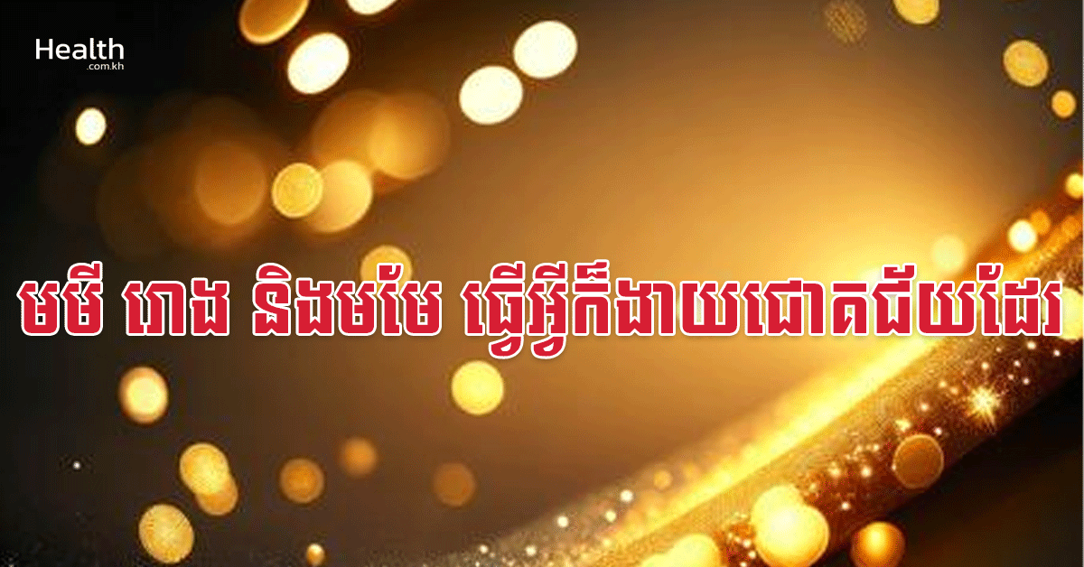 មមី រោង និងមមែ ធ្វើអ្វីក៏ងាយជោគជ័យដែរ