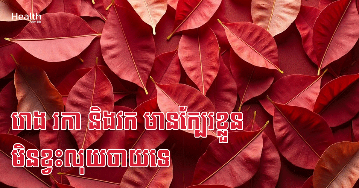 រោង រកា និងវក មានក្បែរខ្លួន មិនខ្វះលុយចាយទេ