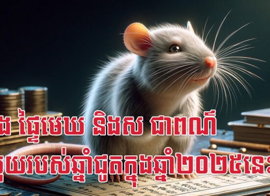 លឿង ផ្ទៃមេឃ និងស ជាពណ៌នាំលុយរបស់ឆ្នាំជូតក្នុងឆ្នាំ២០២៥នេះ