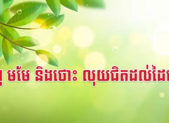 ម្សាញ់ មមែ និងថោះ លុយជិតដល់ដៃហើយ