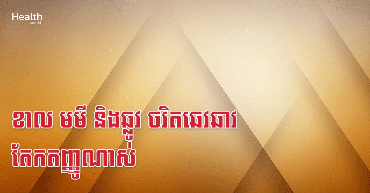 ខាល មមី និងឆ្លូវ ចរិតឆេវឆាវ តែកតញ្ញូណាស់