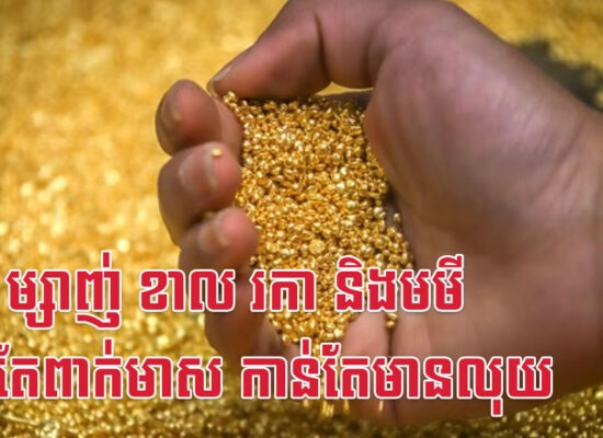 រោង ម្សាញ់ ខាល រកា និងមមី កាន់តែពាក់មាស កាន់តែមានលុយ