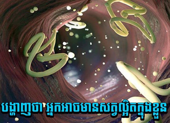 ចេះតែវិលមុខ រមាស់ស្បែក ឈឺក្នុងពោះ អាចបង្ហាញថា អ្នកអាចមានសត្វល្អិតក្នុងខ្លួន
