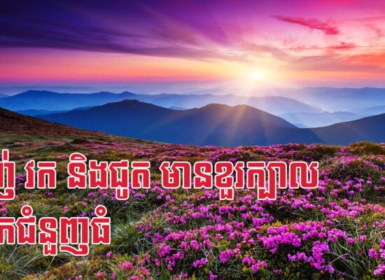 ម្សាញ់ វក និងជូត មានខួរក្បាលជាអ្នកជំនួញធំ