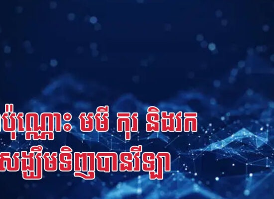 ២ឆ្នាំប៉ុណ្ណោះ មមី កុរ និងវក មានសង្ឃឹមទិញបានវីឡា