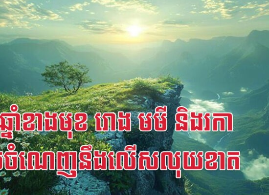 កន្លះឆ្នាំខាងមុខ រោង មមី និងរកា លុយចំណេញនឹងលើសលុយខាត