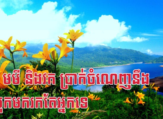 រោង មមី និងវក ប្រាក់ចំណេញនឹងសម្រុកមករកតែអ្នកទេ