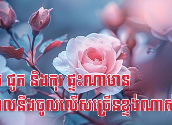 ខាល ជូត និងកុរ ផ្ទះណាមាន ចំណូលនឹងចូលលើសច្រើនខ្ទង់ណាស់