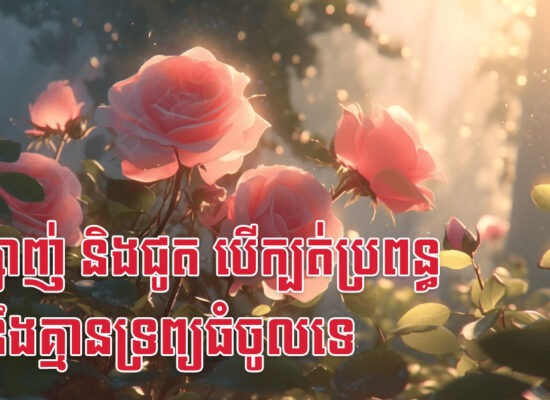 ច ម្សាញ់ និងជូត បើក្បត់ប្រពន្ធ អ្នកនឹងគ្មានទ្រព្យធំចូលទេ