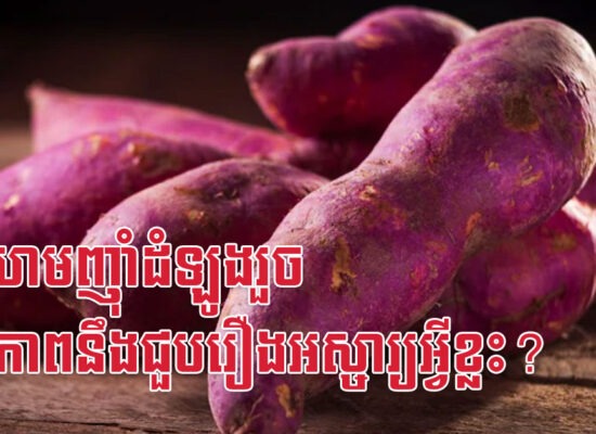 ព្យាយាមញ៉ាំដំឡូងរួច សុខភាពនឹងជួបរឿងអស្ចារ្យអ្វីខ្លះ?