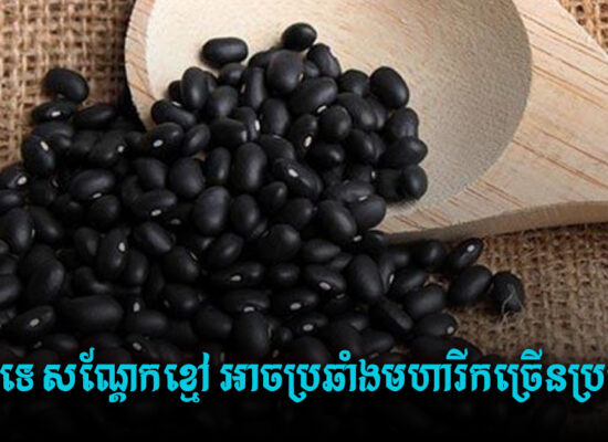 តើពិតទេ សណ្ដែកខ្មៅ អាចប្រឆាំងមហារីកច្រើនប្រភេទ ?